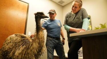101_DrTLoneStarVet_16.jpg
