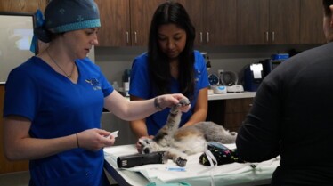 101_DrTLoneStarVet_17.jpg