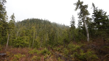 Alaska seuls au monde 2.jpg