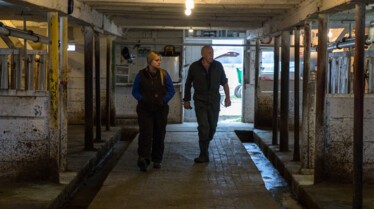 Dr Pol s9 1.jpg