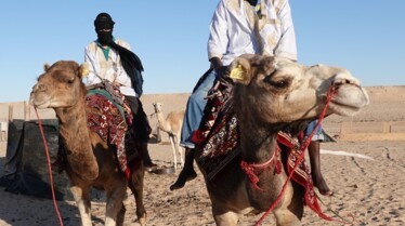 Découvrir le monde Dakhla 3.JPG