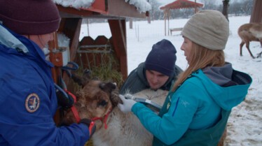 PorcupinePosse_610_DrOakleyYukonVet_LR_4.JPG