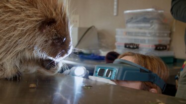 PorcupinePosse_610_DrOakleyYukonVet_LR_5.JPG
