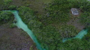 Trésors vus du ciel  Le monde secret du Yucatan 2.JPG