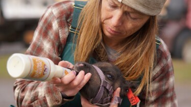 609_DrOakleyYukonVet_07.jpg
