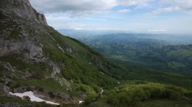 Europe, continent sauvage  Au chevet des ours d’Europe 2.JPG