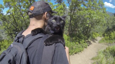 Drôles d'amis  Le Chihuahua et le poussin.jpg