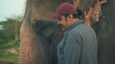 Les secouristes de la jungle  Au secours des éléphants 3.JPG