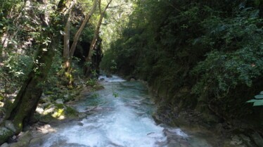 Trésors vus du ciel  Au cœur de la Sierra Gorda 1.JPG