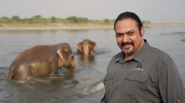 Les secouristes de la jungle  Retour à la maison 1.jpg