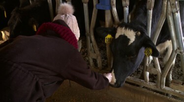 L'incroyable Dr Pol  En route ! 1.JPG