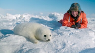 Mission spéciale  Les animaux du grand froid 3.jpg