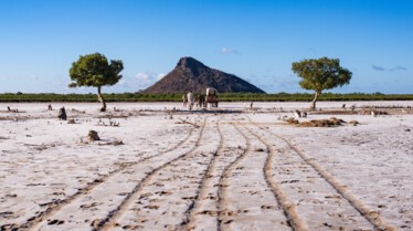 Mada trek, la grande aventure 3.jpg