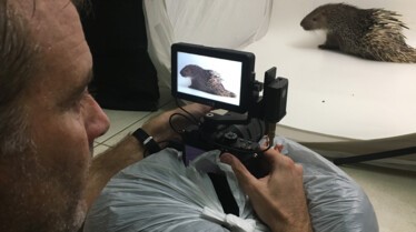 Ep202_PhotoArk_019.JPG