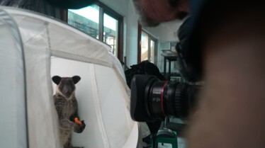 Ep202_PhotoArk_046.JPG