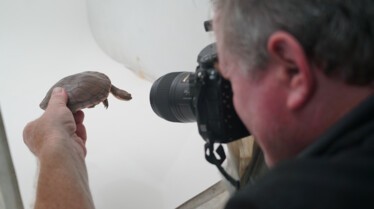 Ep202_PhotoArk_067.JPG