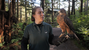 FlyLikeAnEagle_101_AlaskaAnimalRescue_LR_4.png