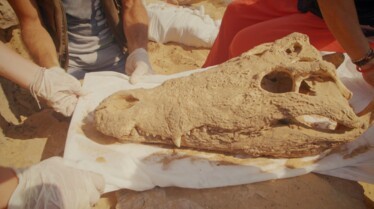 Ep203_MysteriesOfTheSphinx_LostTreasuresOfEgypt_LR_02.jpg