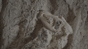 Ep203_MysteriesOf TheSphinx_LostTreasuresOfEgypt_05.jpg