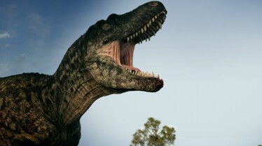 Le premier Tyrannosaure (2).jpg