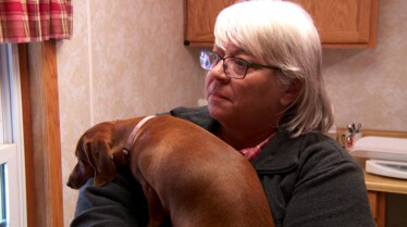 L'incroyable Dr Pol  Une histoire de couleurs 1.JPG