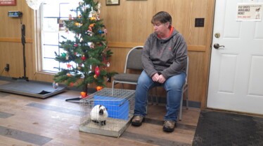 L'incroyable Dr Pol  Le grand retour (2).jpg