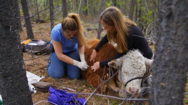 Michelle ou la vie sauvage  Mère Nature.jpg