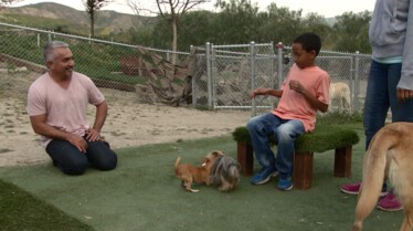 SOS Cesar  Petits monstres (2).jpg