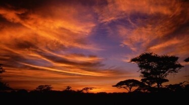 EquatorsWildSecrets_Ep103_06.jpg