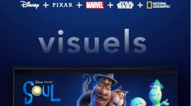 Visuels_Janvier_2021.PNG