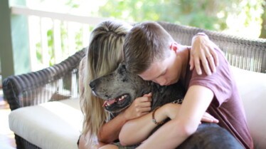 SOS Cesar  Le chien ou le bébé.JPG
