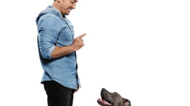 Cesar Millan_201.jpg