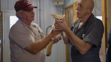 L'incroyable Dr Pol  Thanksgiving (3).jpg