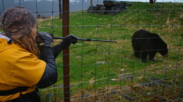 Michelle ou la vie sauvage  Approcher l'ours.jpg