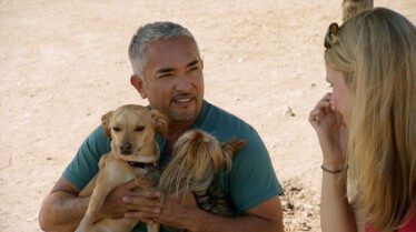 SOS Cesar  Holly et Lexie.jpg