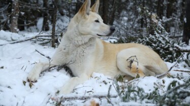 104_TheKillingFields_LifeBelowZeroNextGeneration_008.jpg