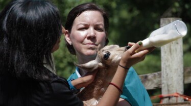 Au cœur du zoo  L’étoile montante.jpg