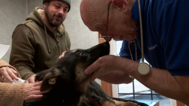L'incroyable Dr Pol  Chiens en détresse (2).tif