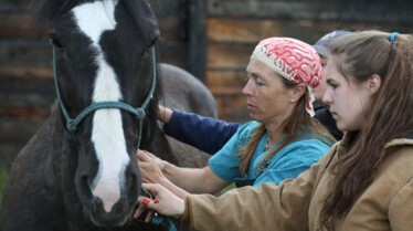 Michelle ou la vie sauvage  Bataille d'ours.jpg