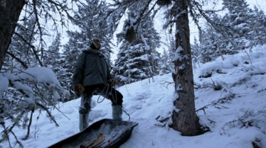 Alaska  Nouvelle vie - Soleil d’hiver (2).jpg