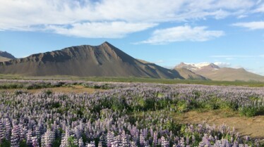 Trésors vus du ciel  L'Islande volcanique.JPG