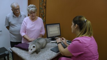 La clinique des animaux exotiques  Petites bêtes (3).JPG