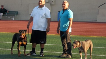 SOS Cesar  Chiens à l'attaque.JPG