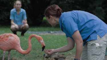 Au coeur du zoo (4).jpg