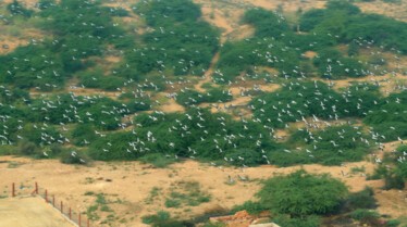 L'Inde vue du ciel  Merveilles naturelles.jpg