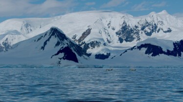 Ep101_SecretsOfTheWhales_002.jpg