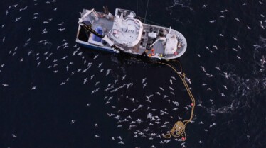 Ep101_SecretsOfTheWhales_010.jpg