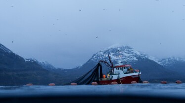 Ep101_SecretsOfTheWhales_011.jpg