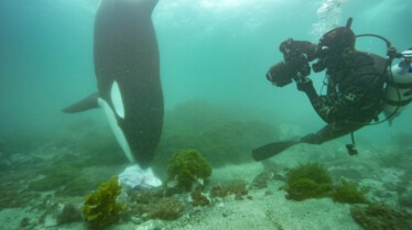 Ep101_SecretsOfTheWhales_016.jpg