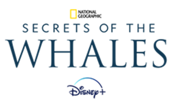 Les Secrets des  Baleines